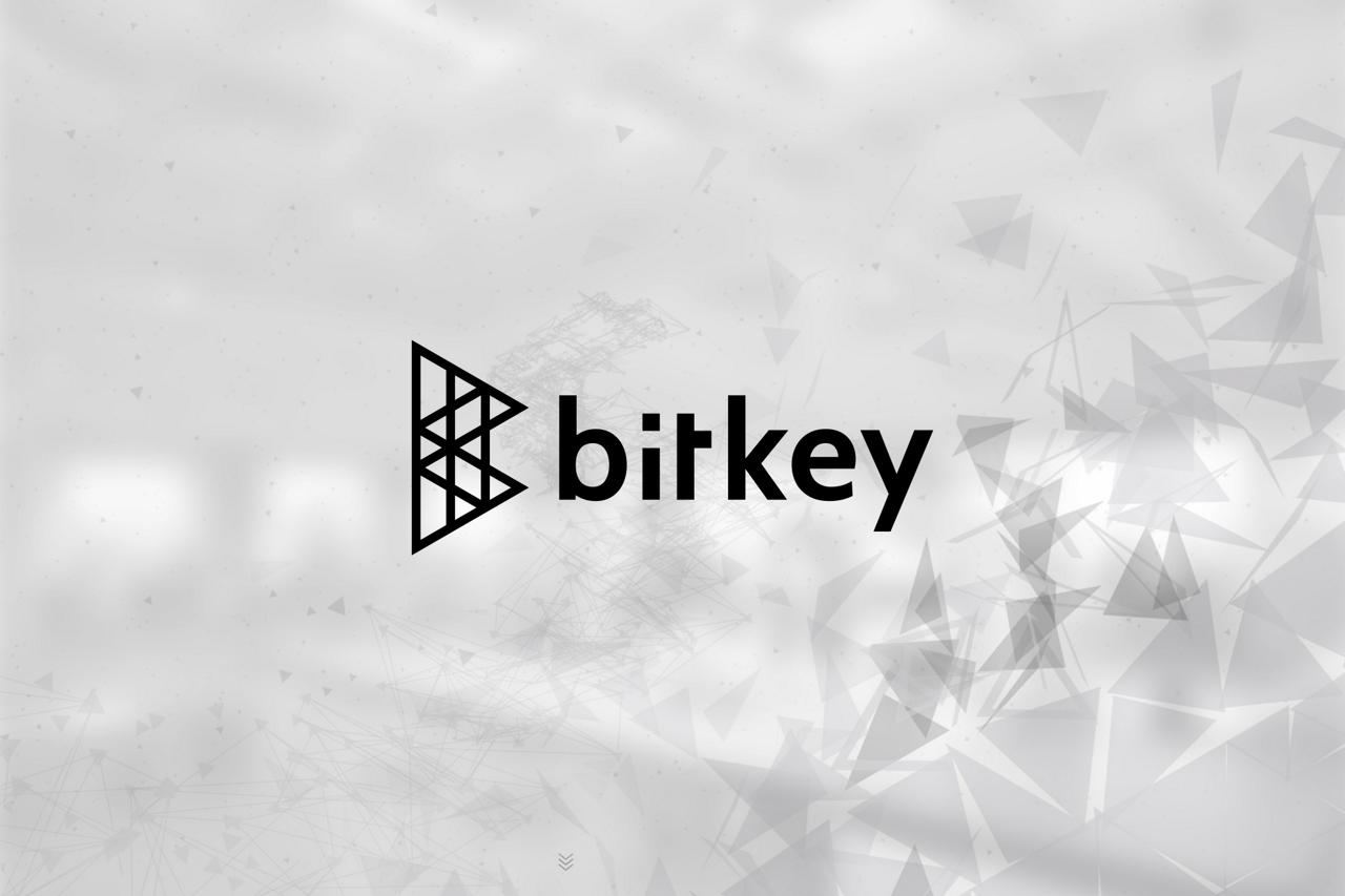 株式会社ビットキー 求人画像1