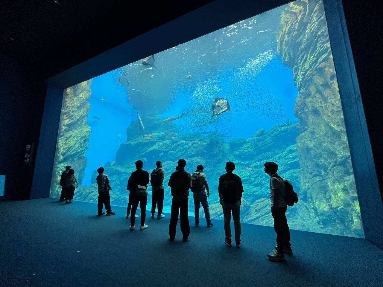 株式会社 クルコムのイメージ画像3