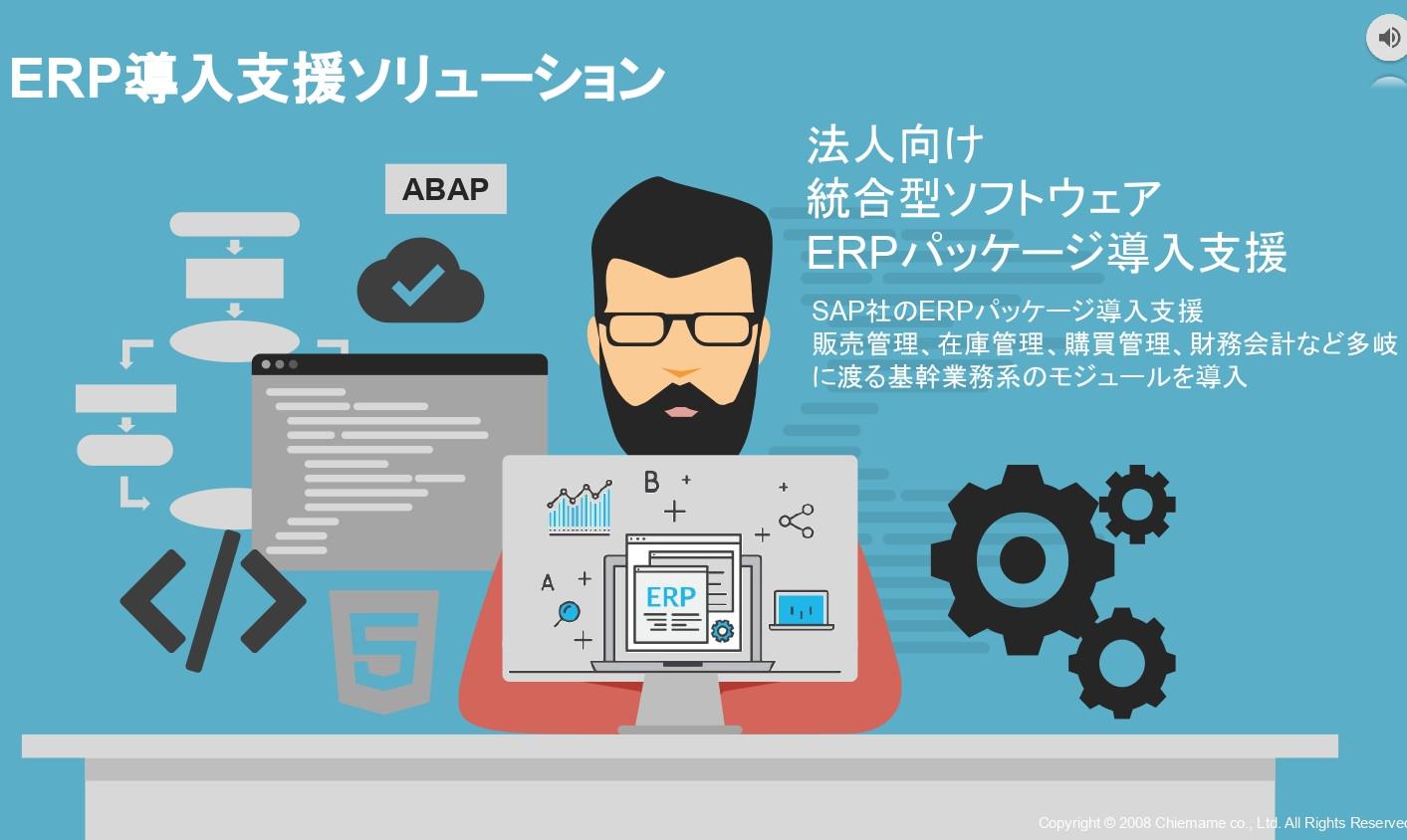 事業内容：企業基幹業務のためのERP(SAP)導入支援