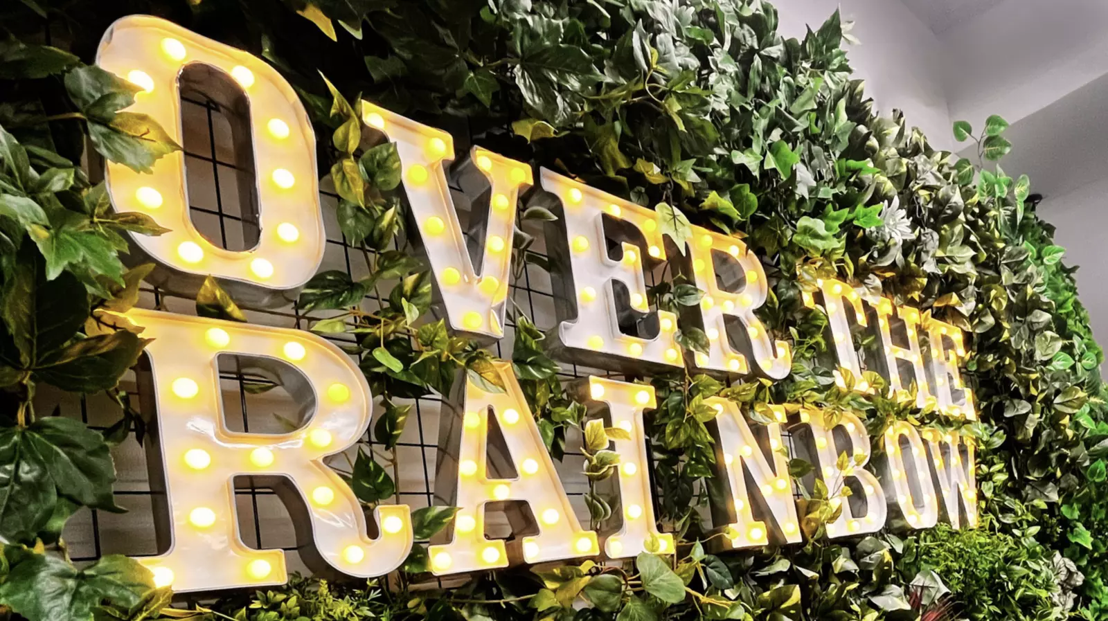 企業トップ画像