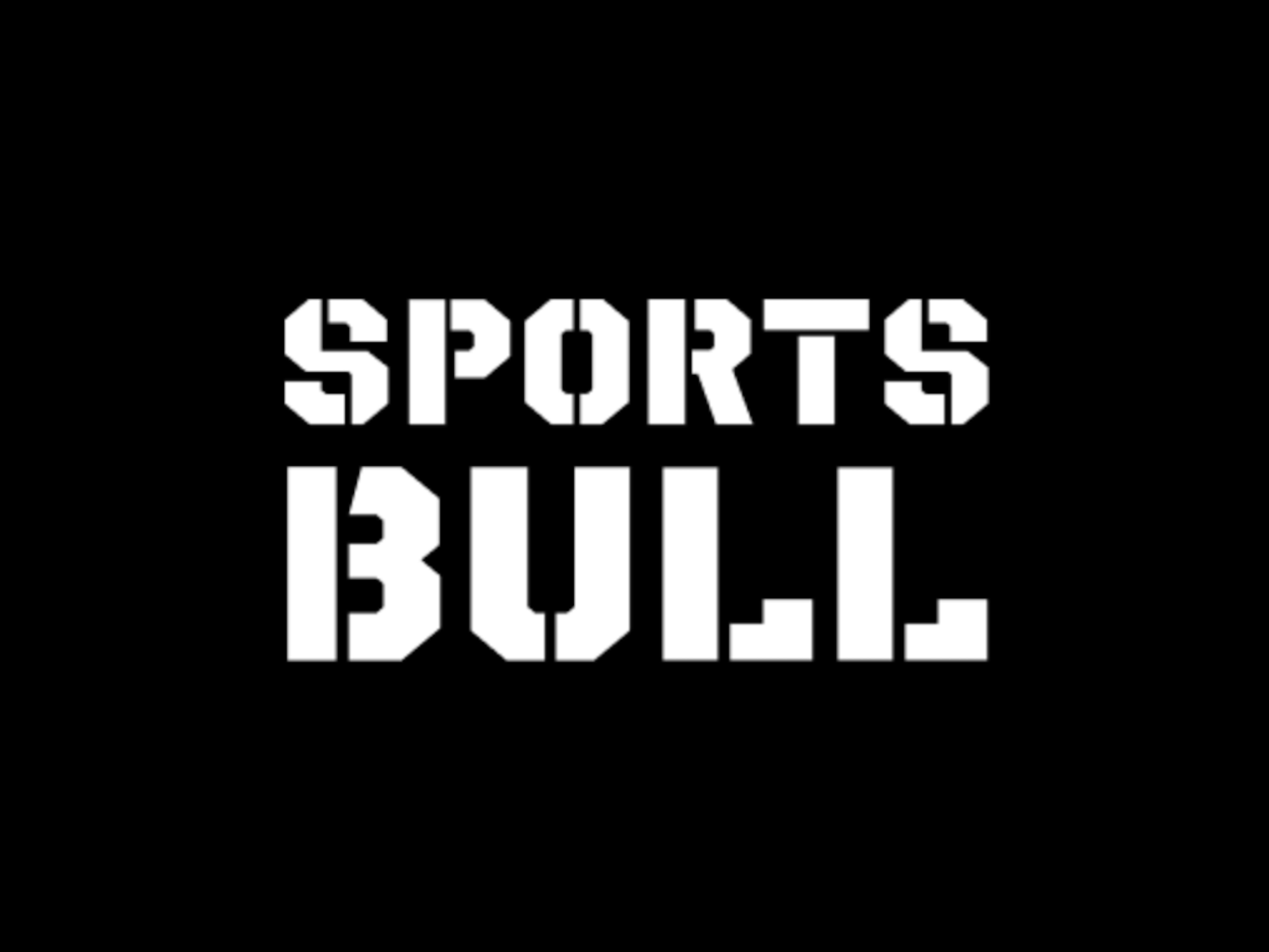 スポーツ×ITでミッションを達成するために、インターネットスポーツメディア『SPORTS BULL』の運営をはじめとした事業を展開する。