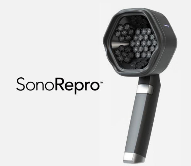 事業内容：超音波スカルプケアデバイス「SonoRepro」