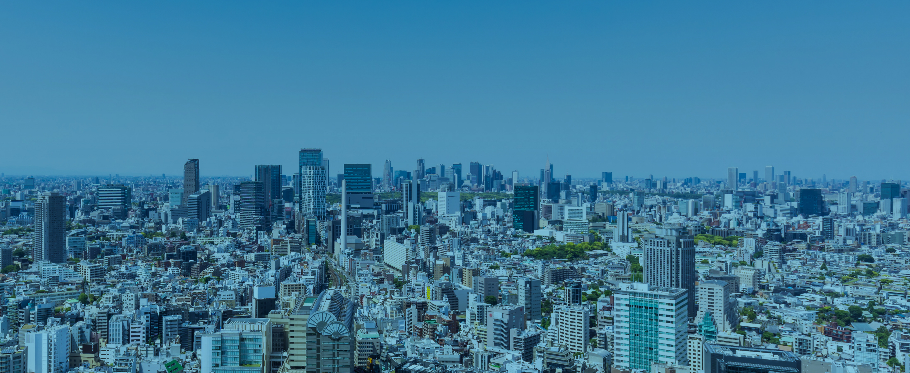 企業トップ画像