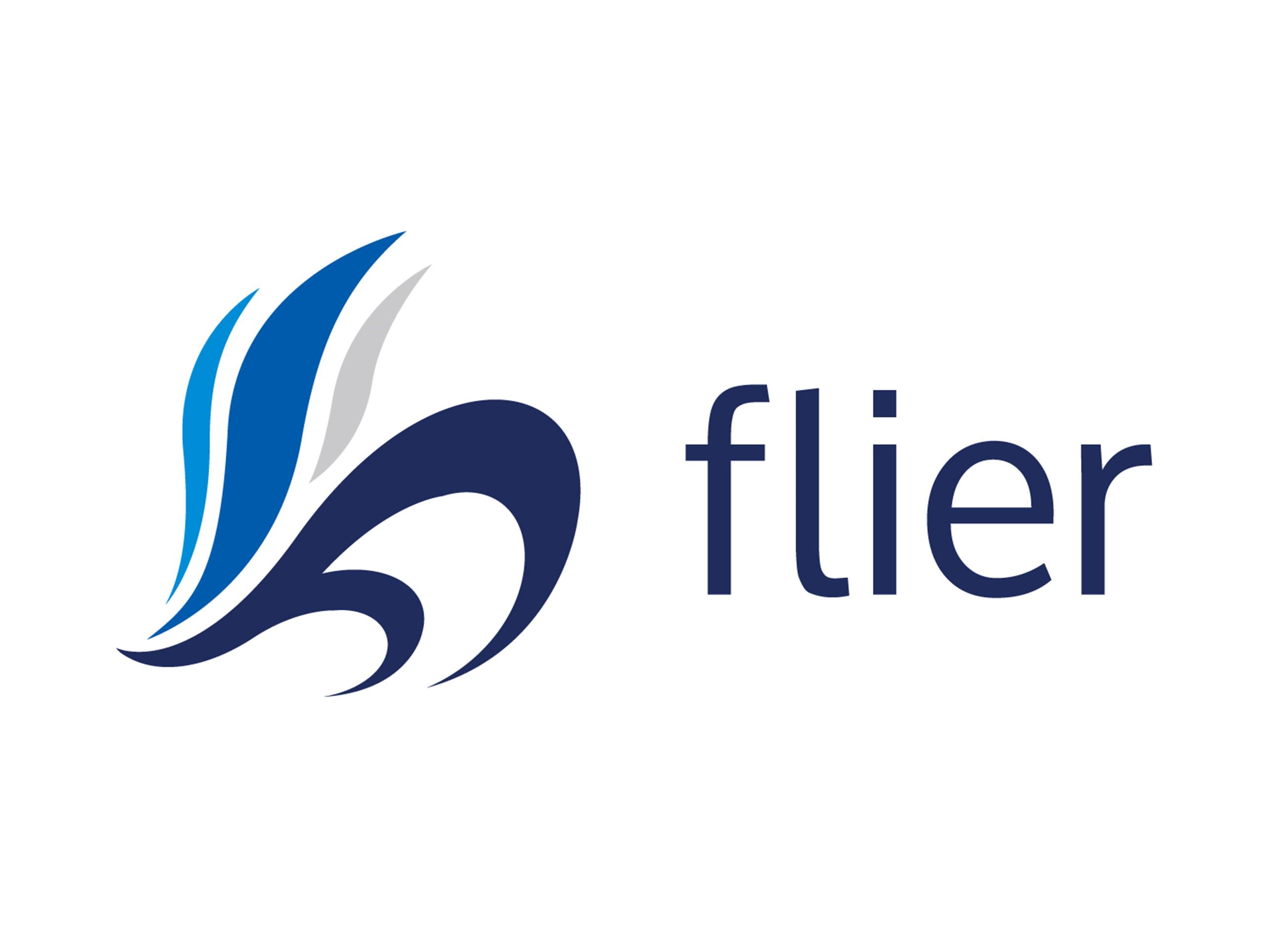 事業内容：本の要約を軸とした法人向け人材育成サービス「flier business」