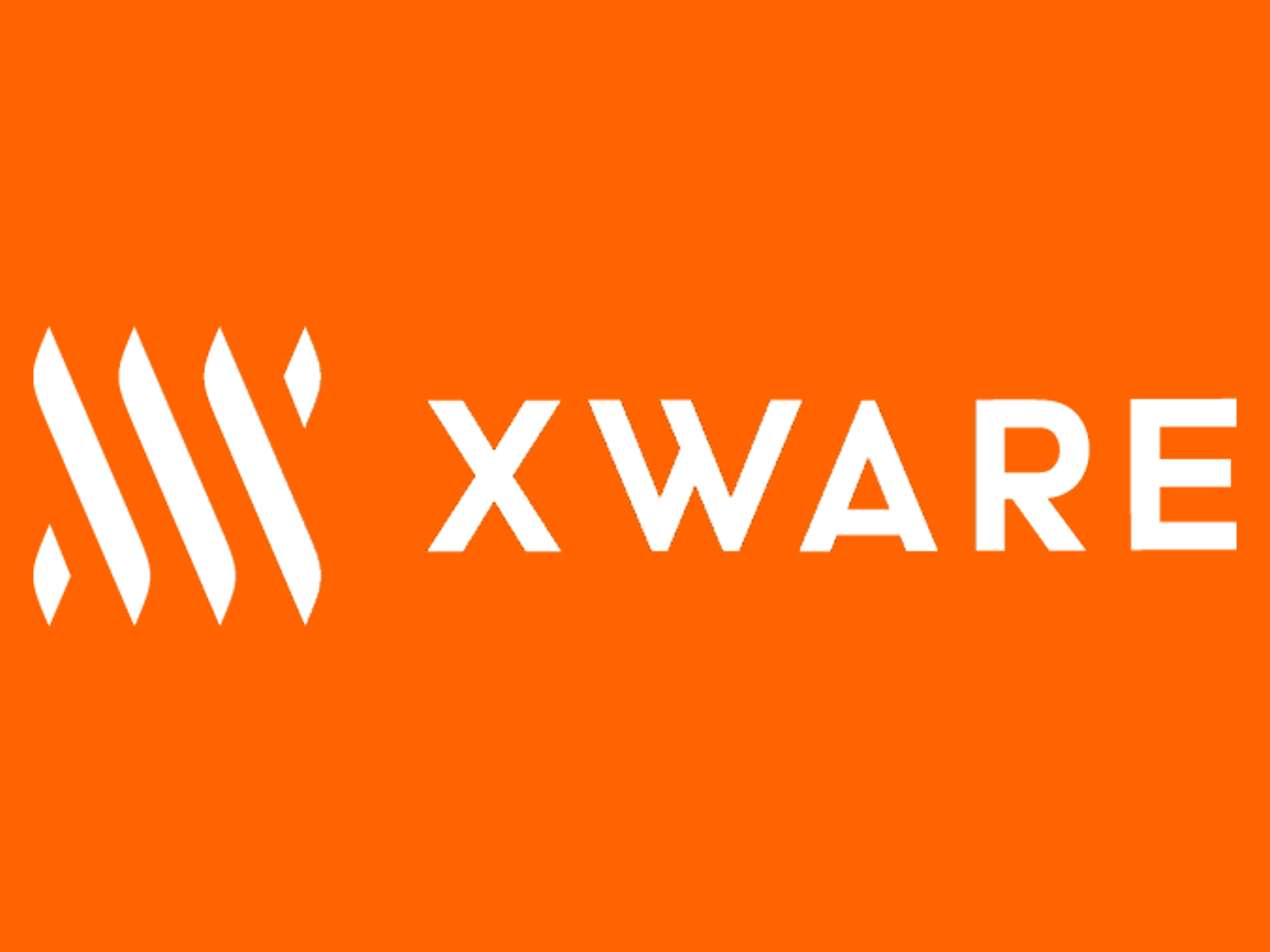 事業内容：SIを軸にAI技術も活用するITソリューション企業