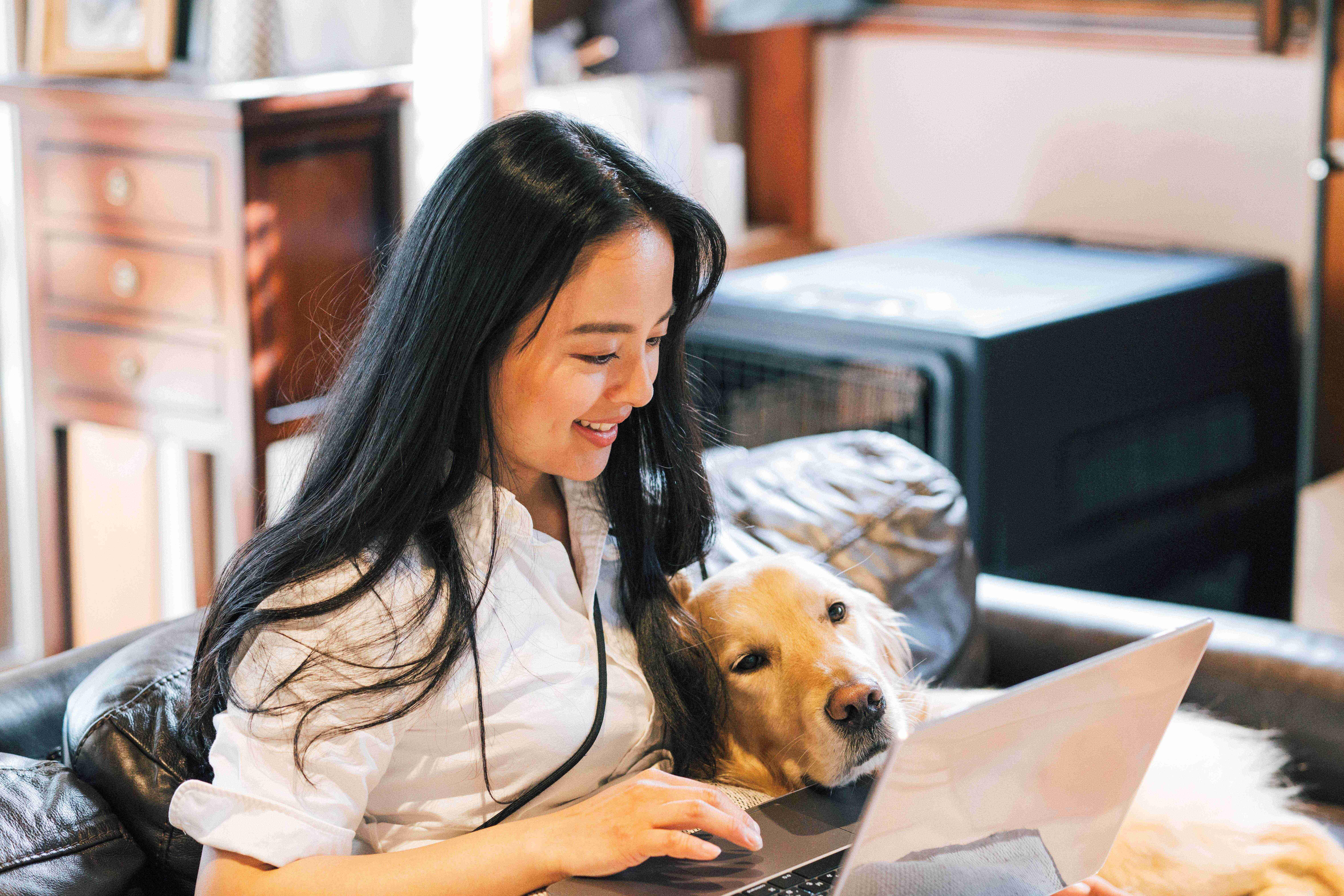 株式会社 ハグオールのイメージ画像3