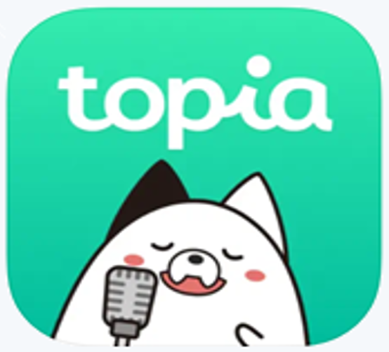 事業内容：バーチャル音楽ライブ配信「topia」