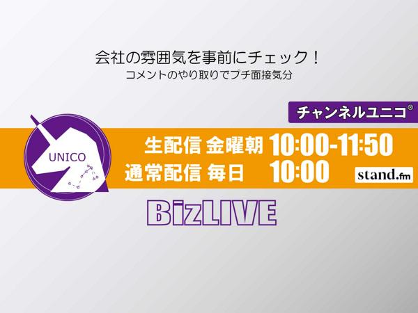 募集している求人：システムエンジニア、提案・開発リーダー、自社体制強化
