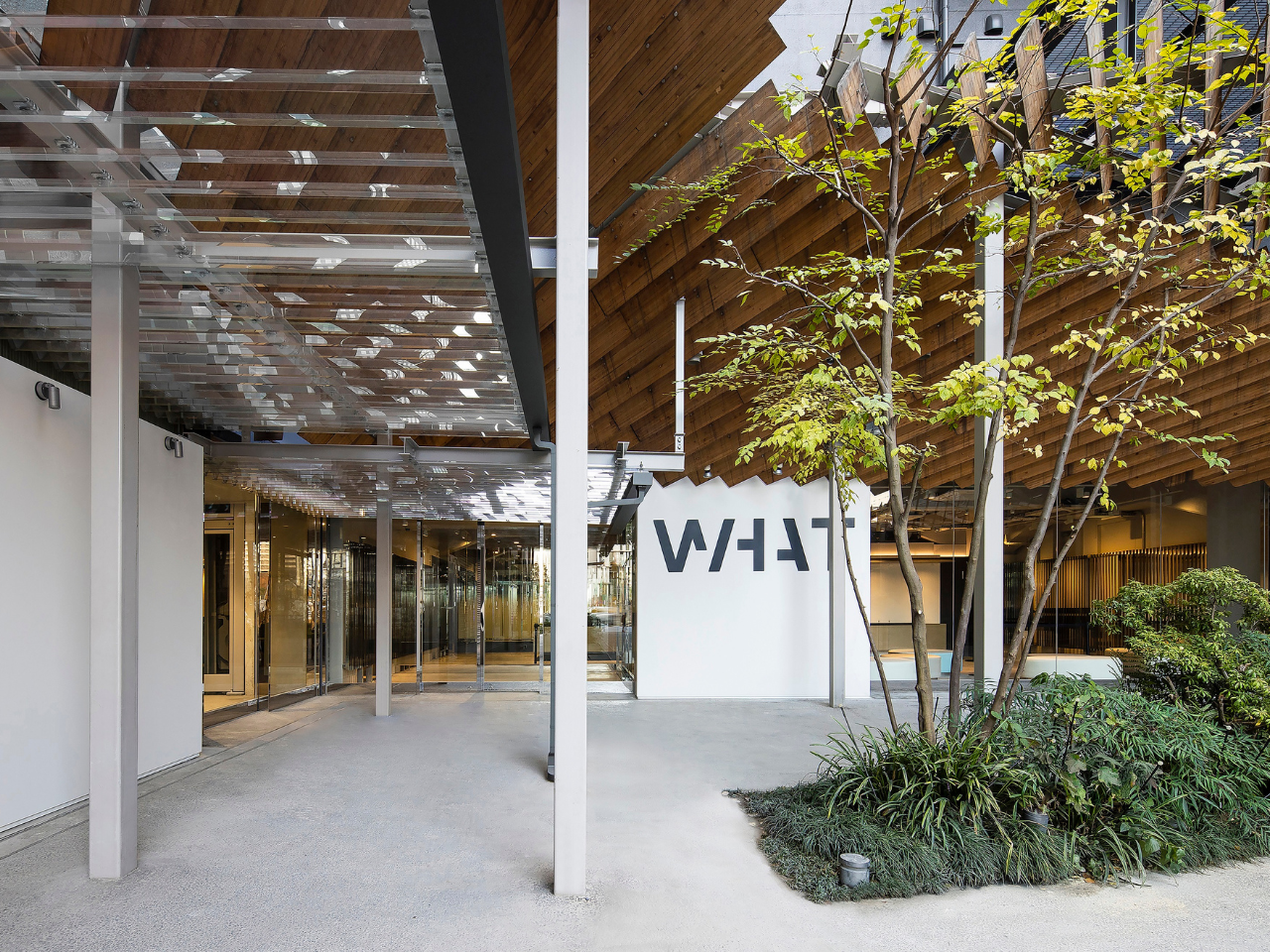 事業内容：WHAT MUSEUM