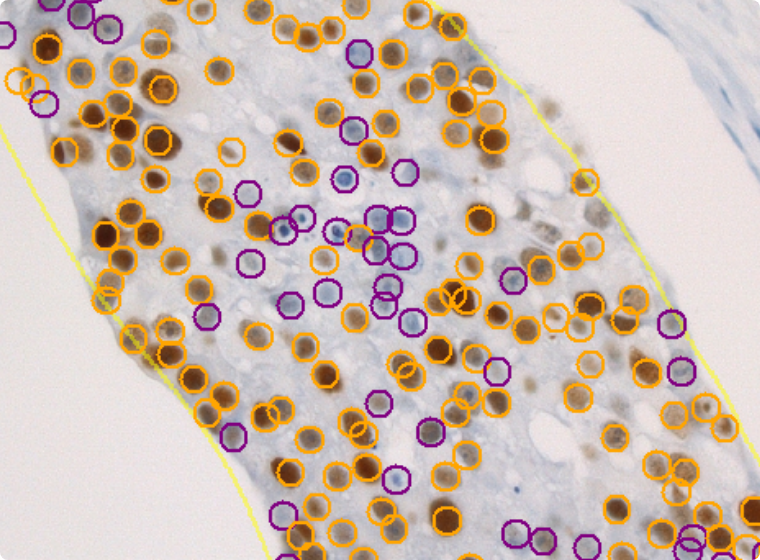 三谷商事 株式会社のイメージ画像2