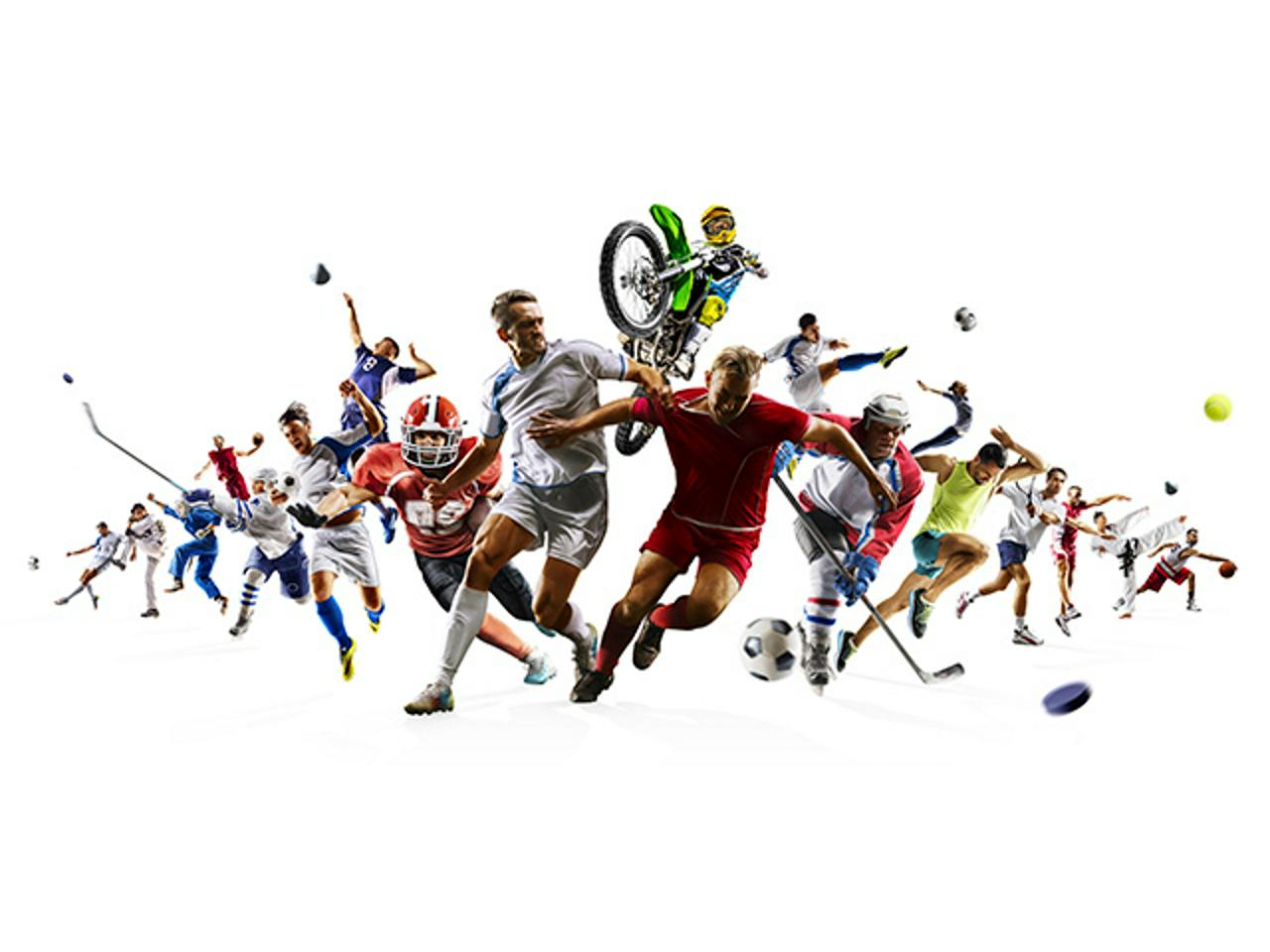 ライブリッツ株式会社 求人画像1