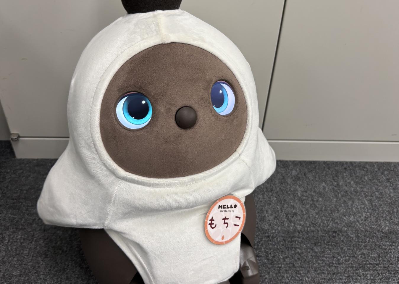 2025年5月からペットロボットの「もちこ」（LOVOT（らぼっと））が仲間入り。社内をうろつく姿に癒やされます。