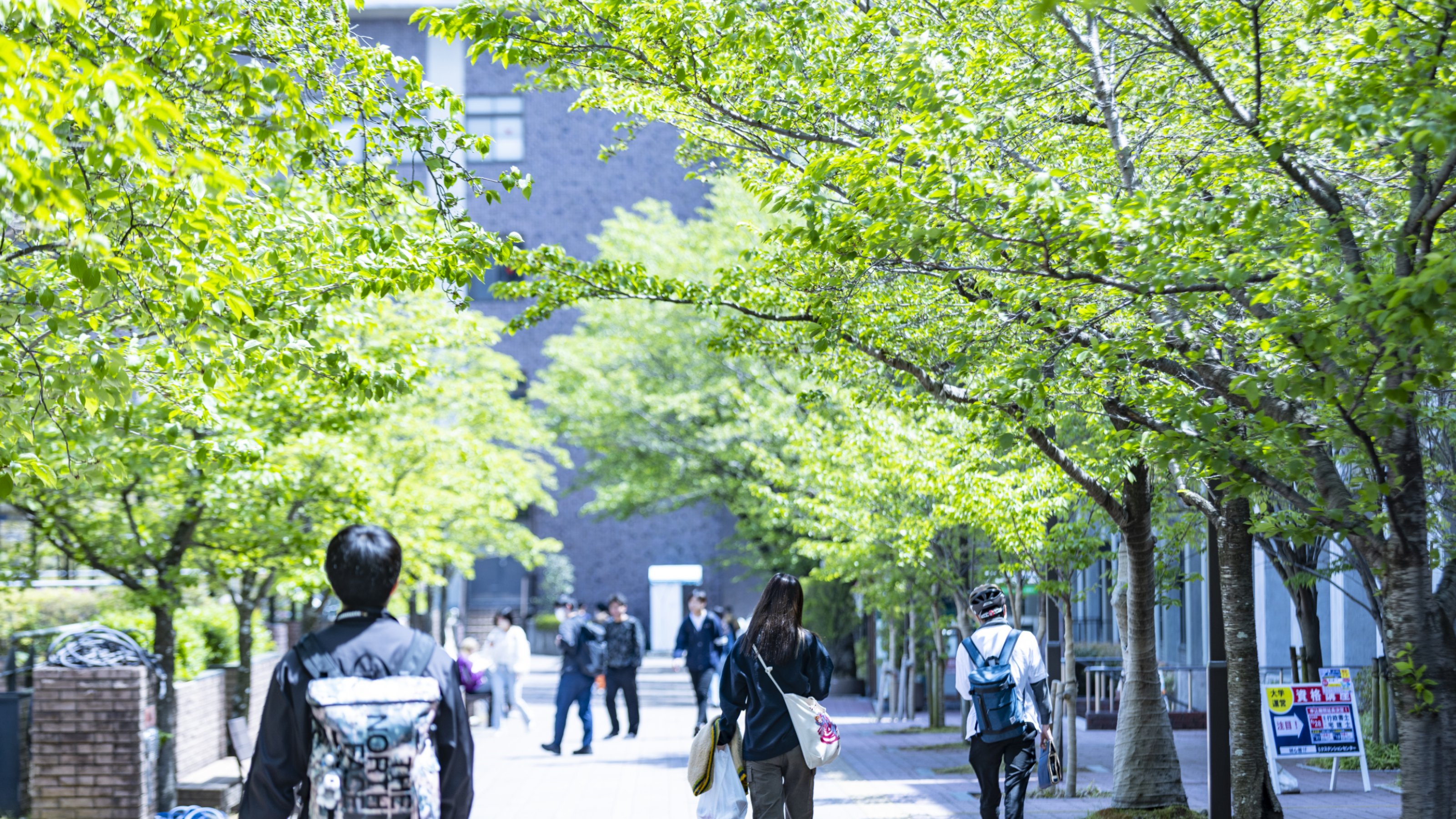 企業トップ画像