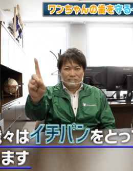 「愛犬を想う飼い主の悩みに応えたい」と真摯に製品開発と向き合った結果が大ヒット製品を生み出した。