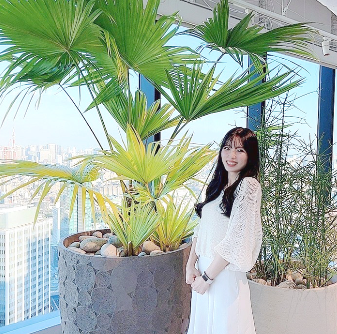 株式会社ネットドリーマーズメインアイコン