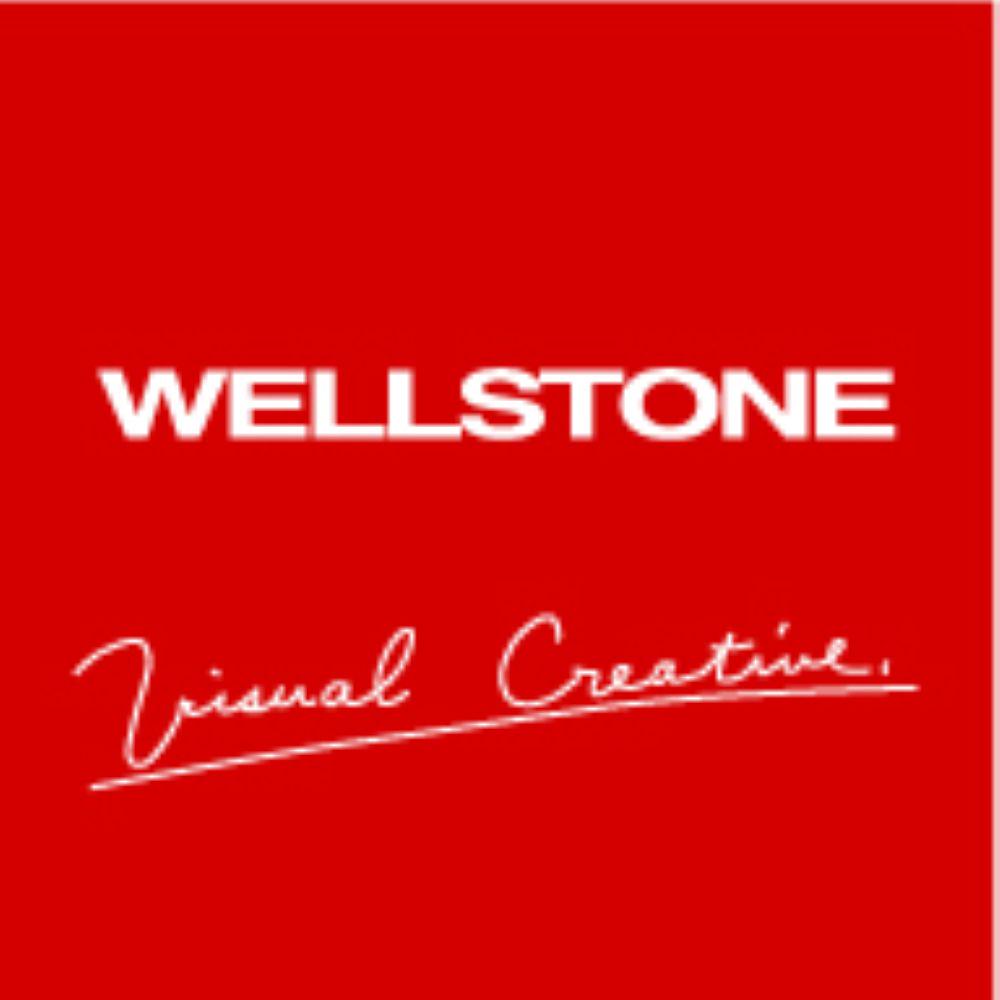 事業内容：多様なプロジェクトでキャリア形成を支援するSI事業