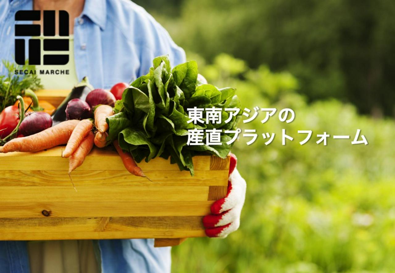 株式会社SECAI MARCHE 求人画像1