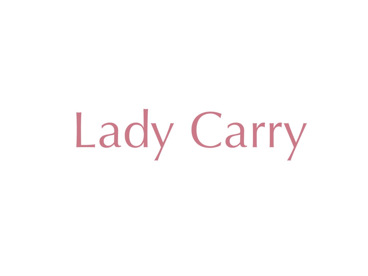事業内容：女性特化キャリアコーチング【LadyCarry（ラディキャリ）】