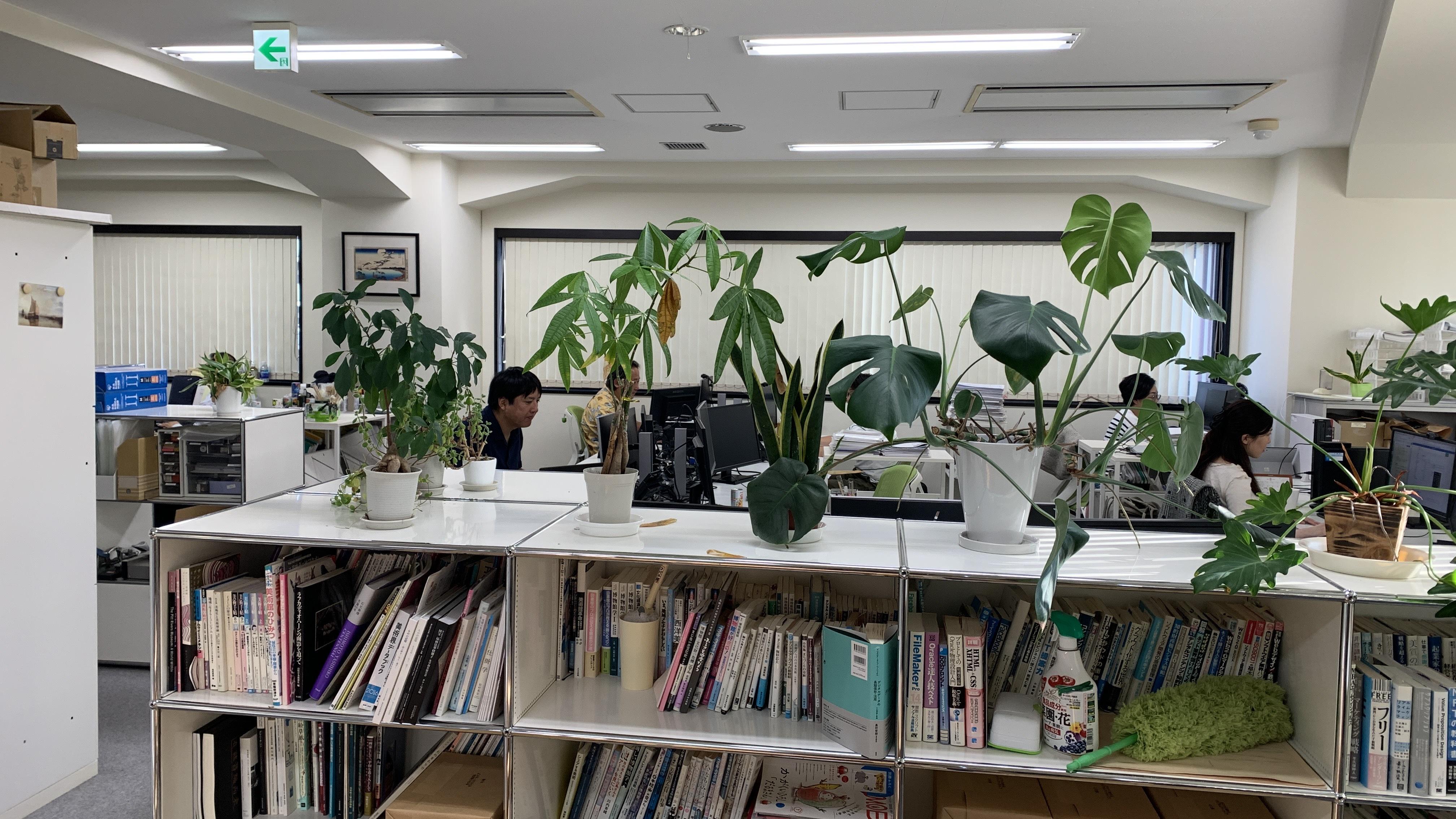 ケイズドットコム 株式会社のイメージ画像3