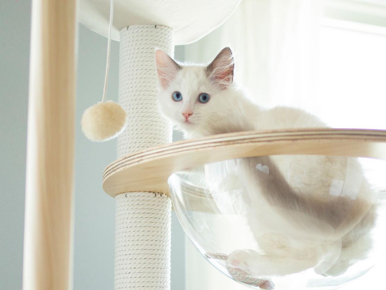 コマースメディア株式会社 求人画像1