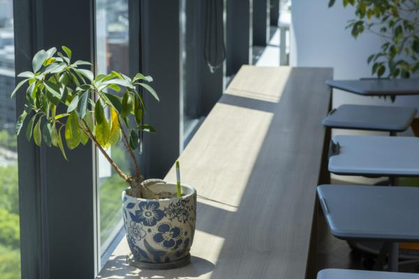 募集している求人：バックエンドエンジニア