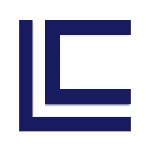 事業内容：システム導入・定着の実装型コンサルティング