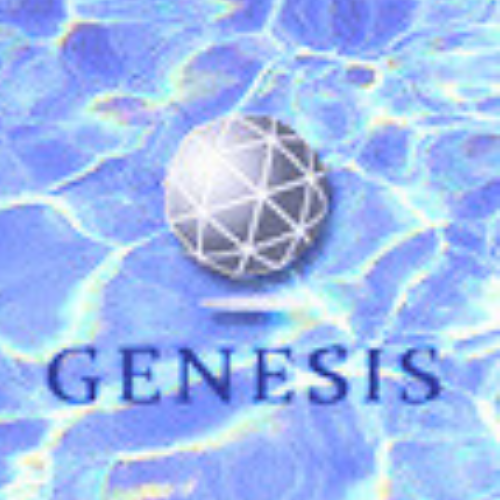 事業内容：プロジェクトマネジメント事業による支援業務