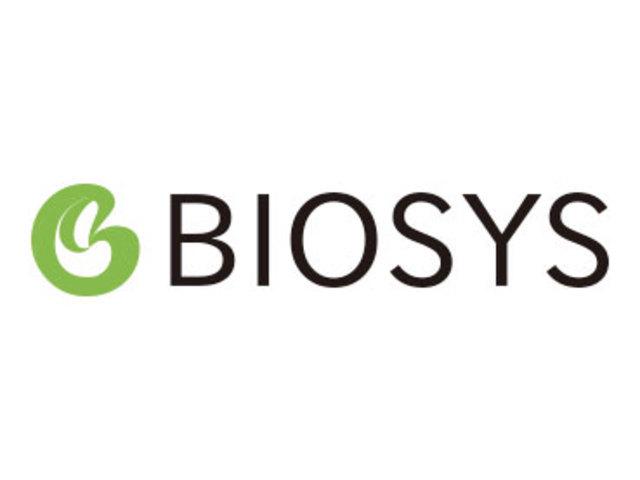 事業内容：ITサービス全般