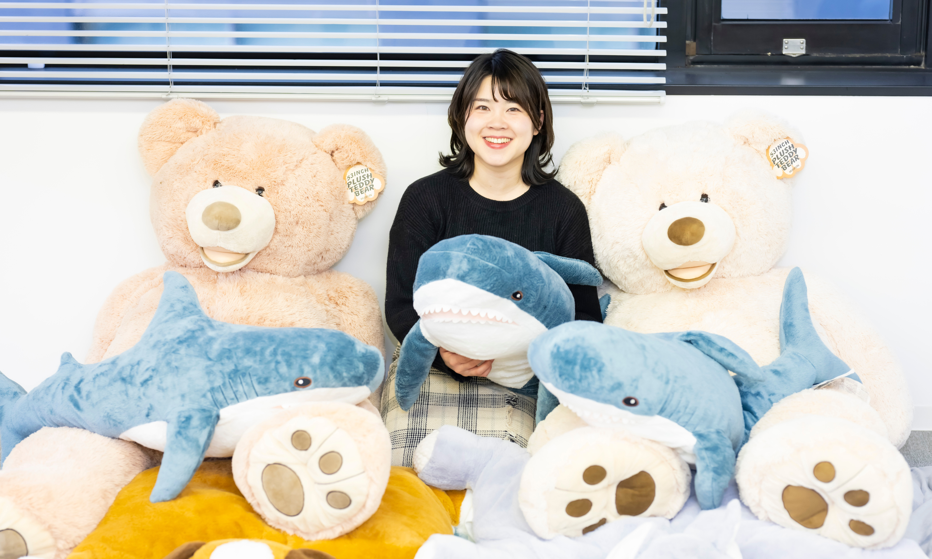 企業トップ画像