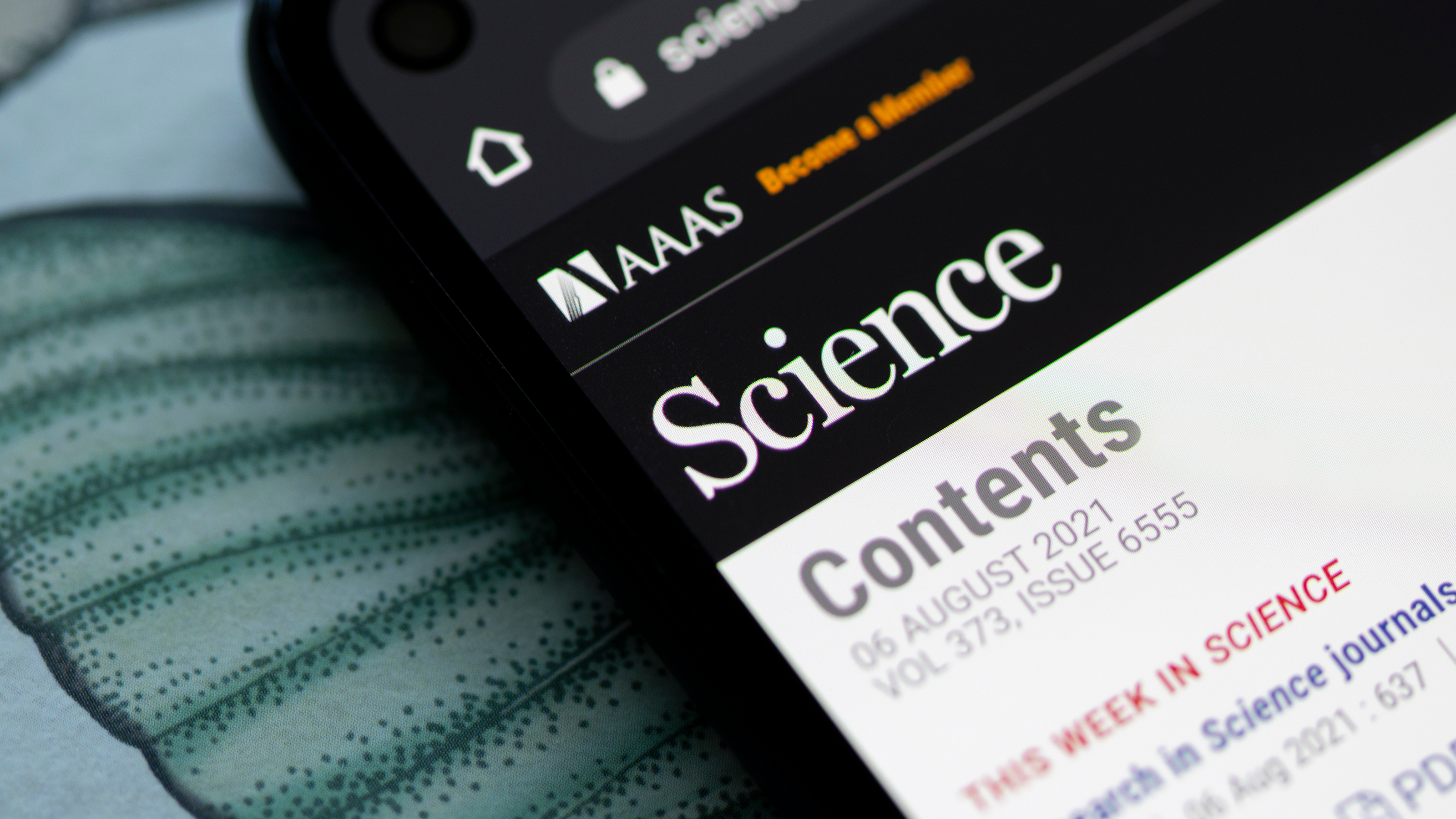 企業トップ画像