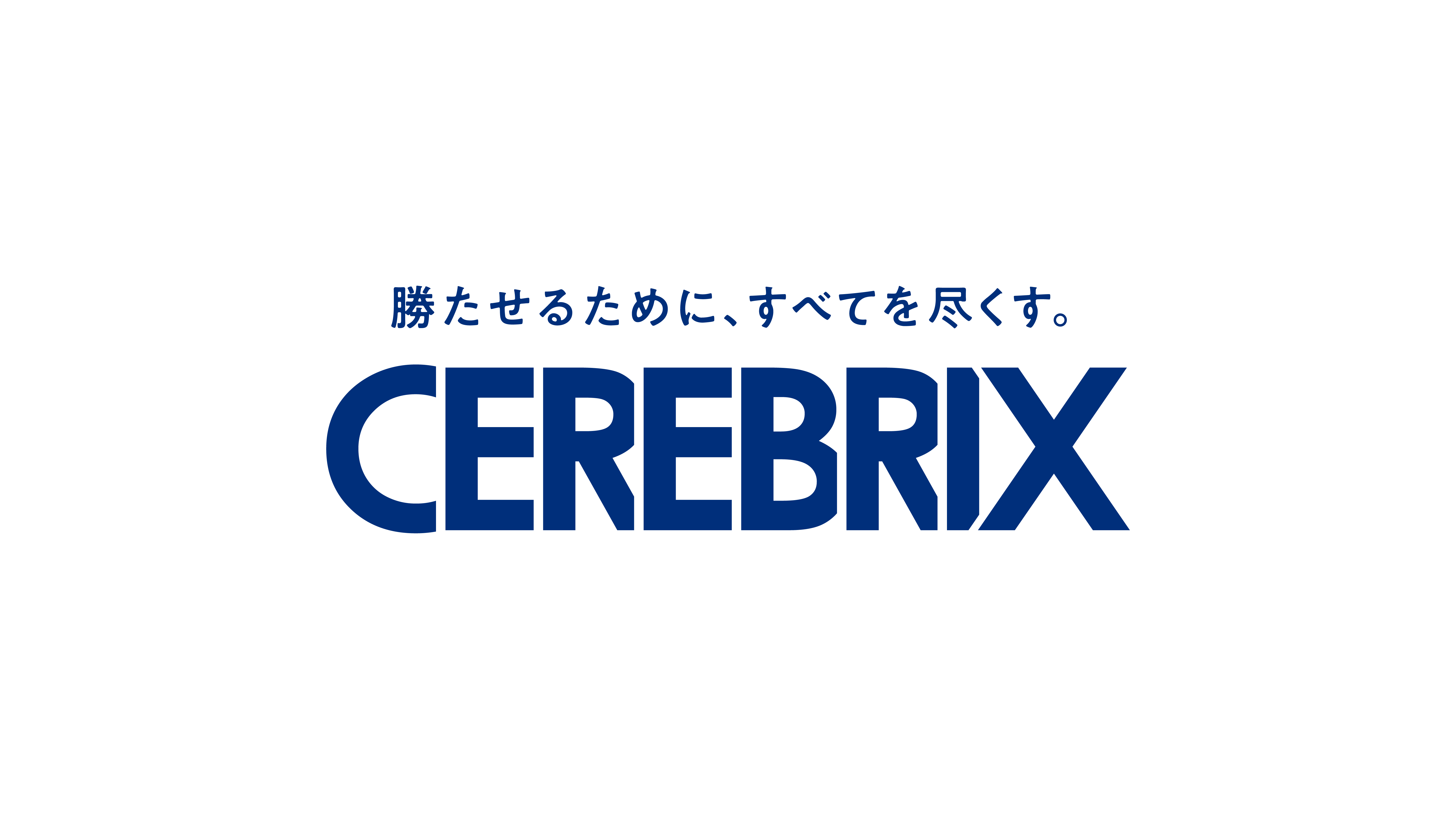 事業内容：戦略的営業代行/営業コンサルティング