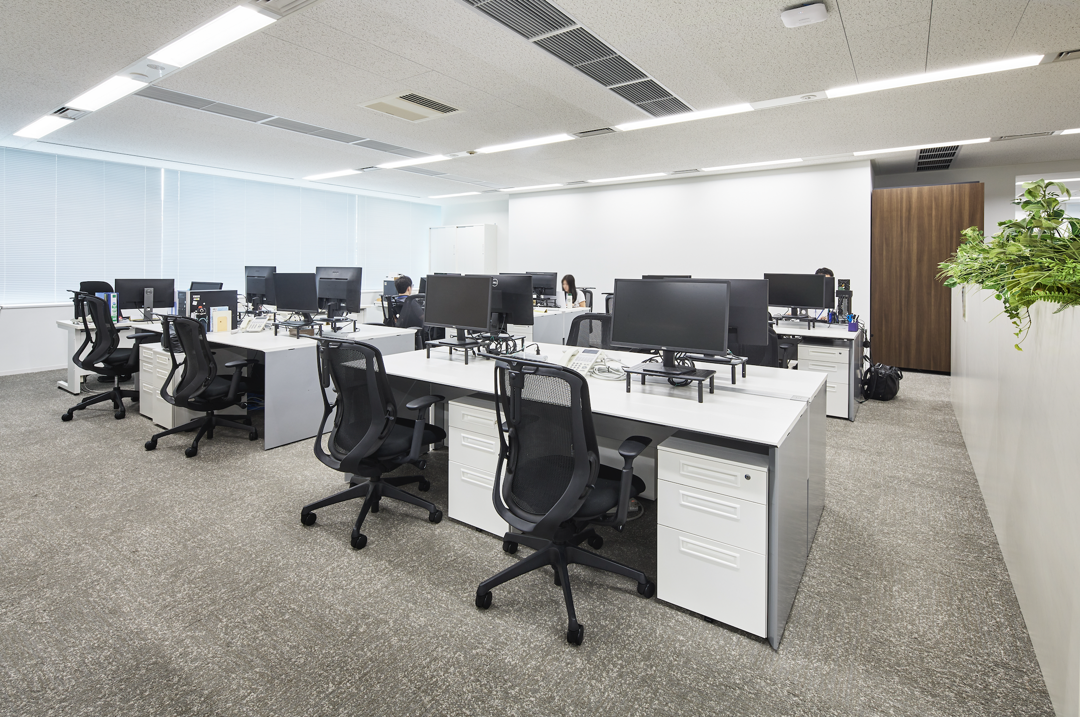 株式会社 トライネットのイメージ画像3