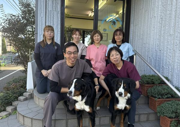 募集している求人：動物看護師