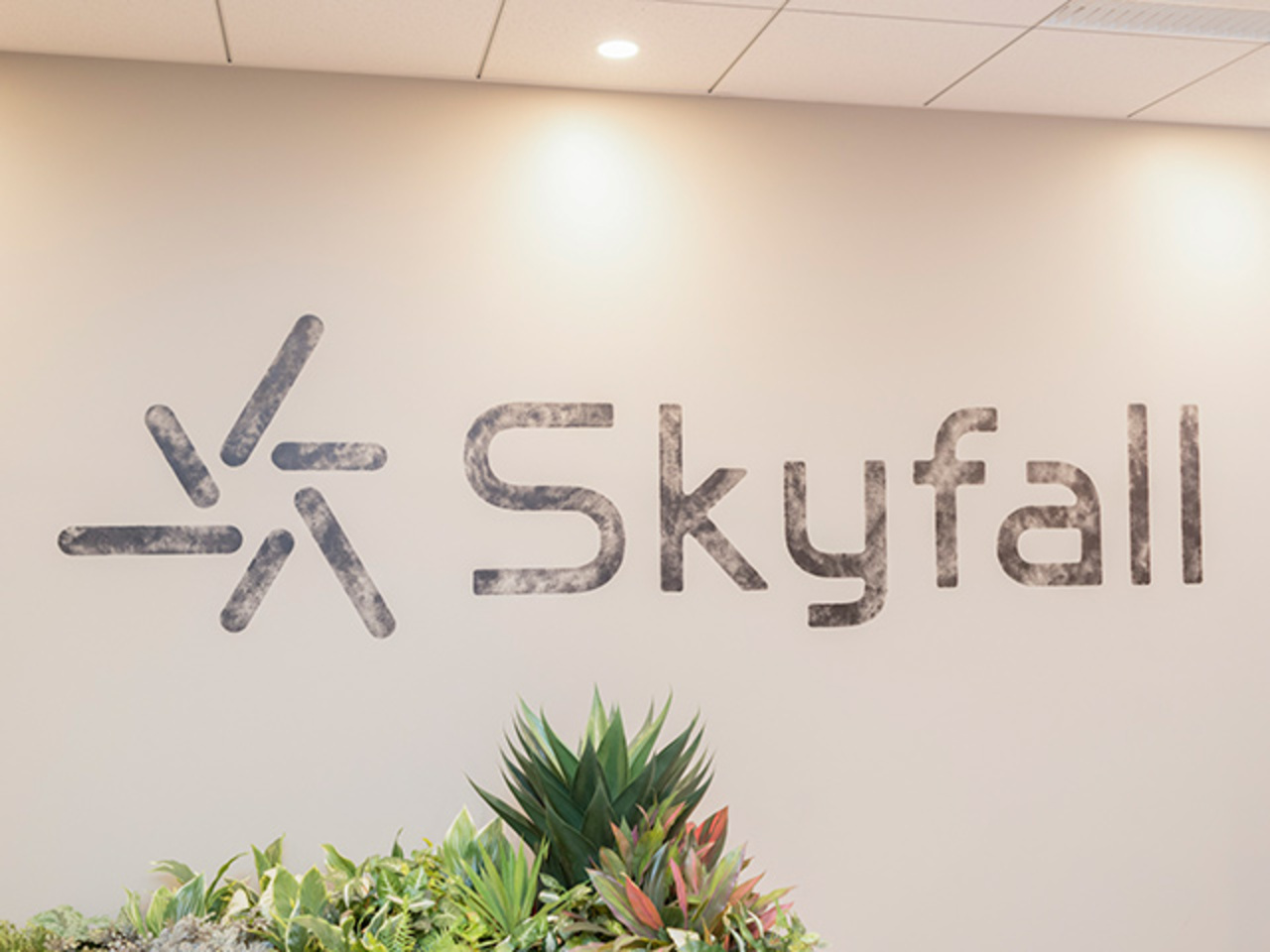 株式会社Skyfall 求人画像1