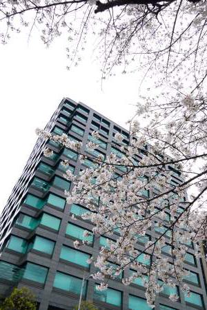 AZX Group 株式会社のイメージ画像3