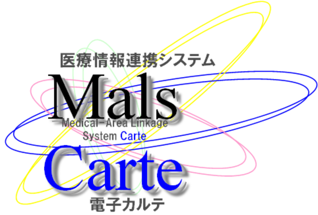自社パッケージ電子カルテシステム「Mars Carte」