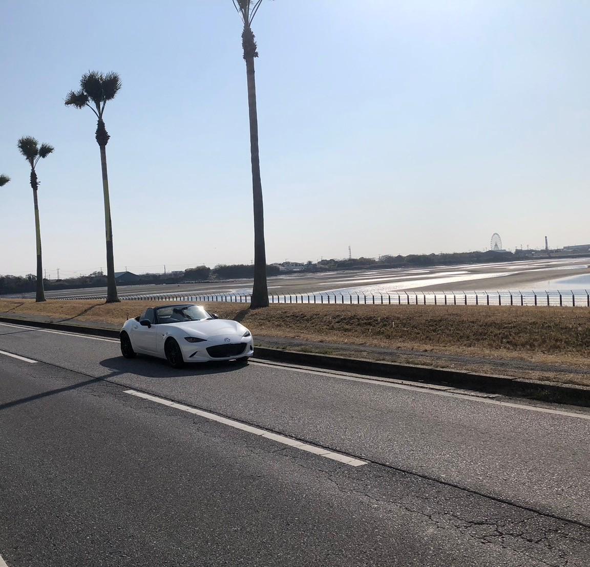 サンアンドサンズコンサルティング株式会社メインアイコン