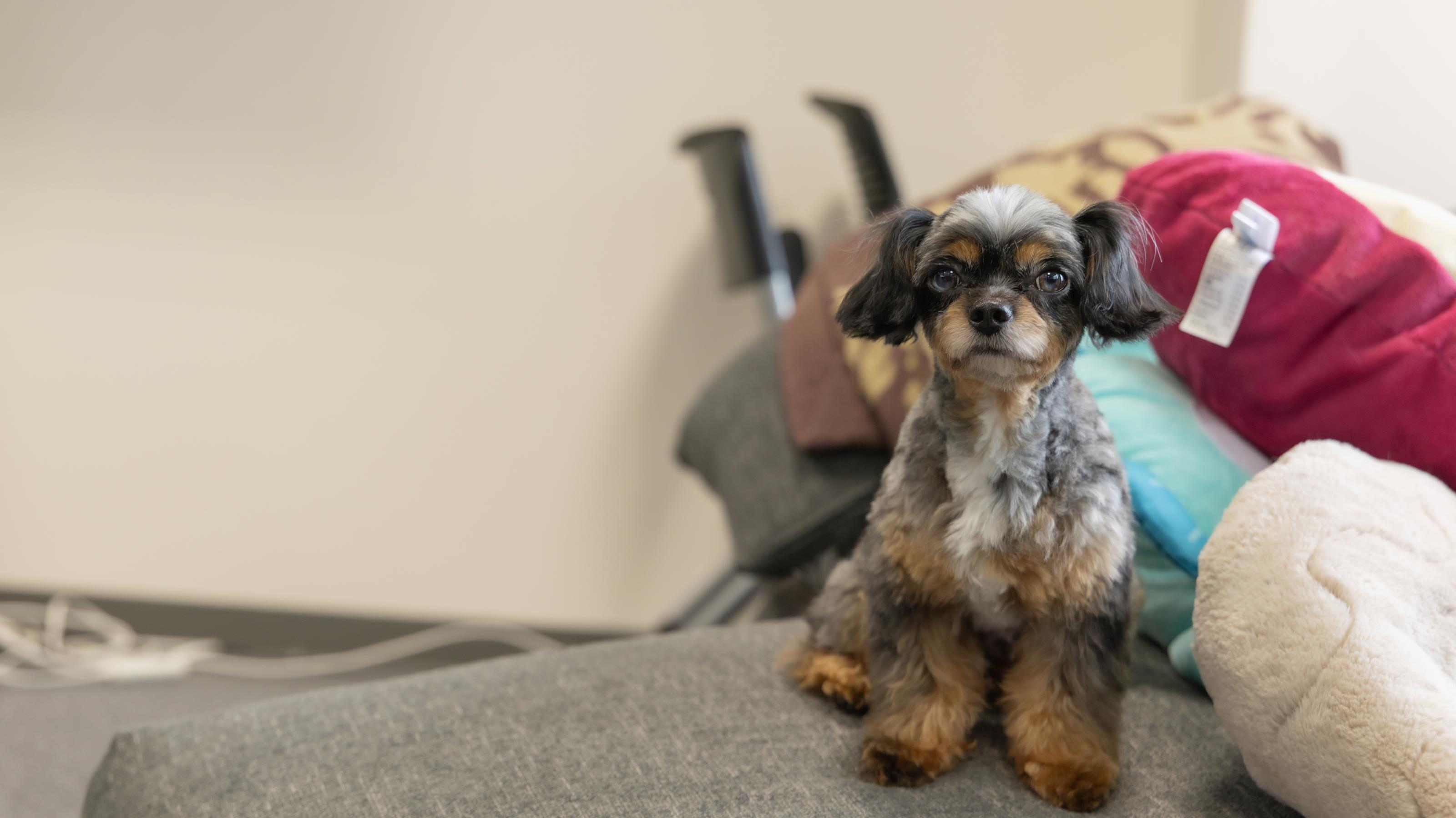 企業トップ画像