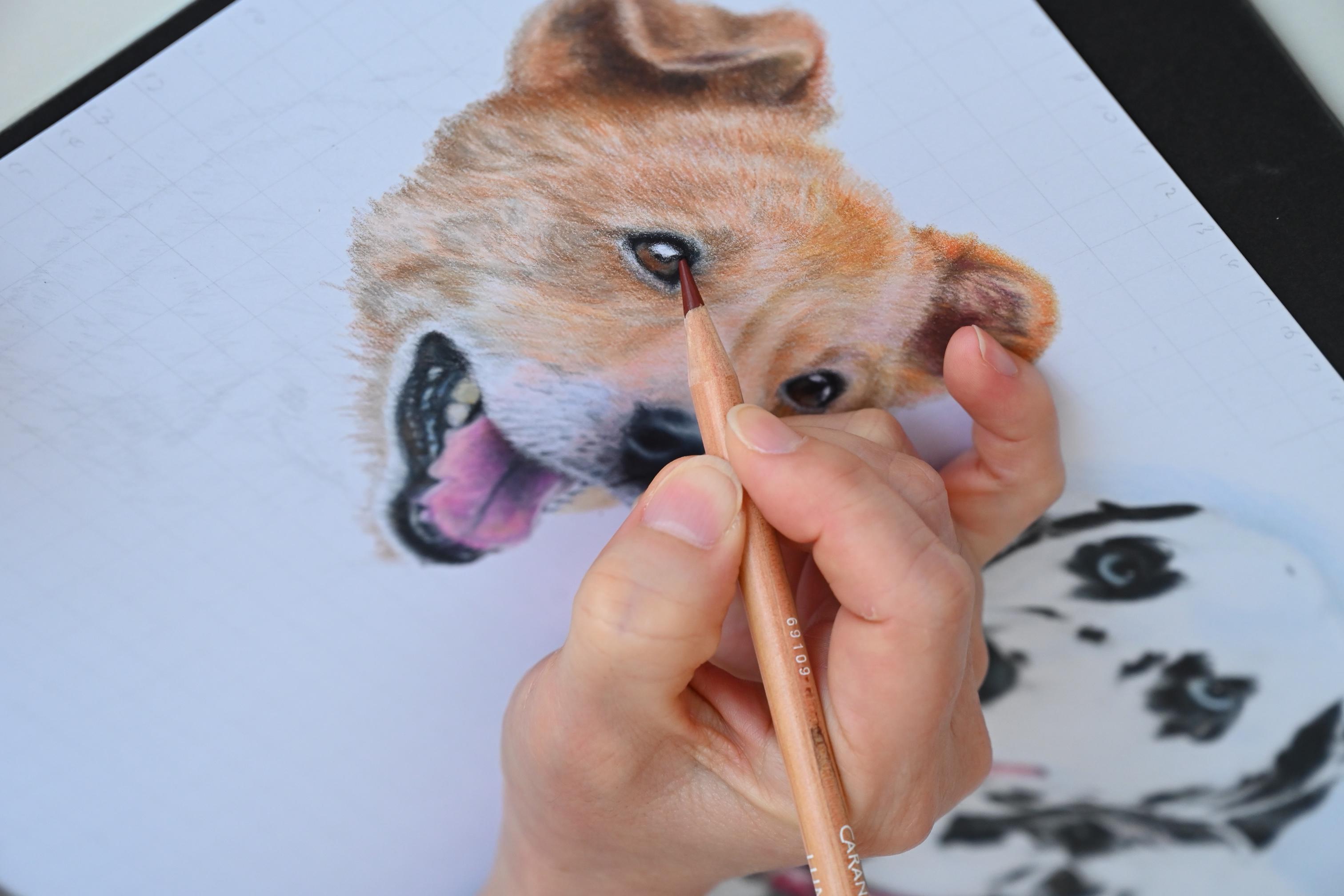 企業トップ画像