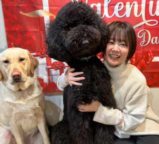 株式会社カオナビメインアイコン