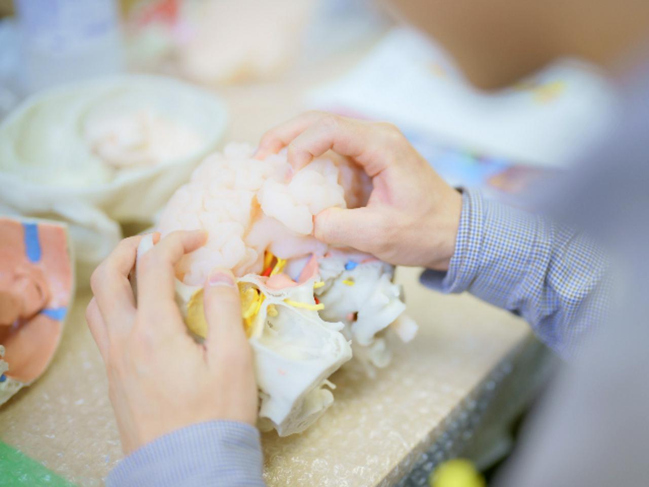 株式会社ジャパン・メディカル・カンパニー 求人画像1