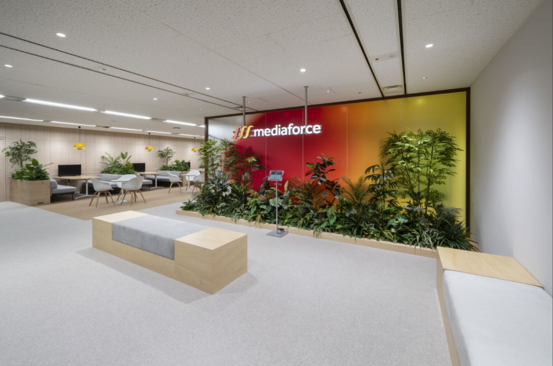 株式会社 メディアフォースのイメージ画像3