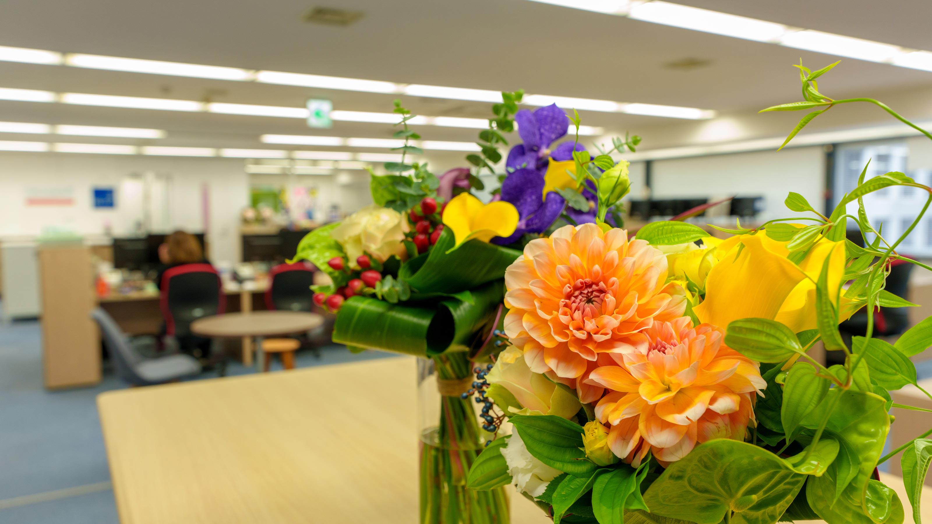 企業トップ画像