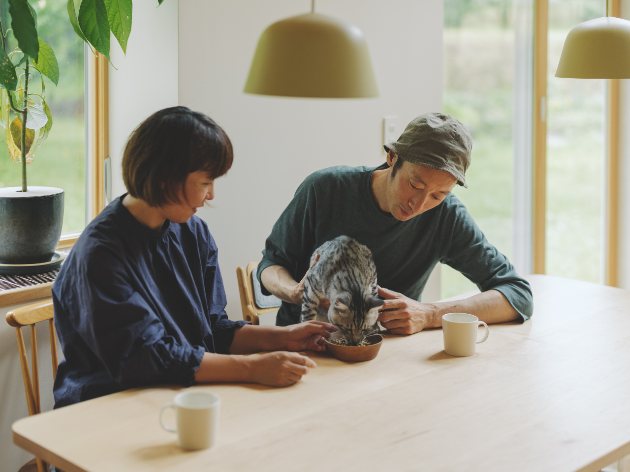 犬猫生活 株式会社のイメージ画像2
