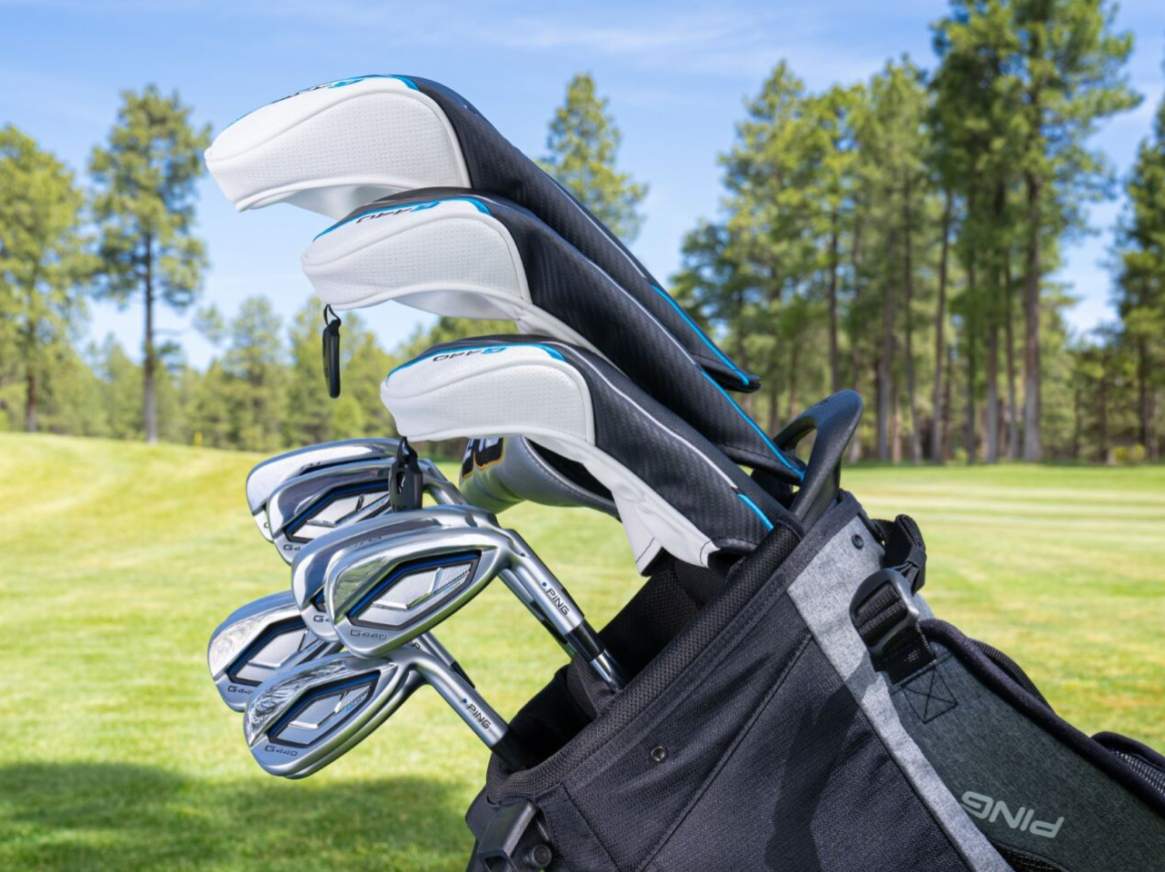 ピンゴルフジャパン 株式会社のイメージ画像3