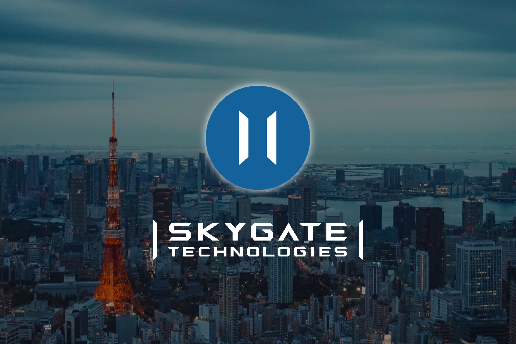 スカイゲートテクノロジズ 株式会社のイメージ画像2