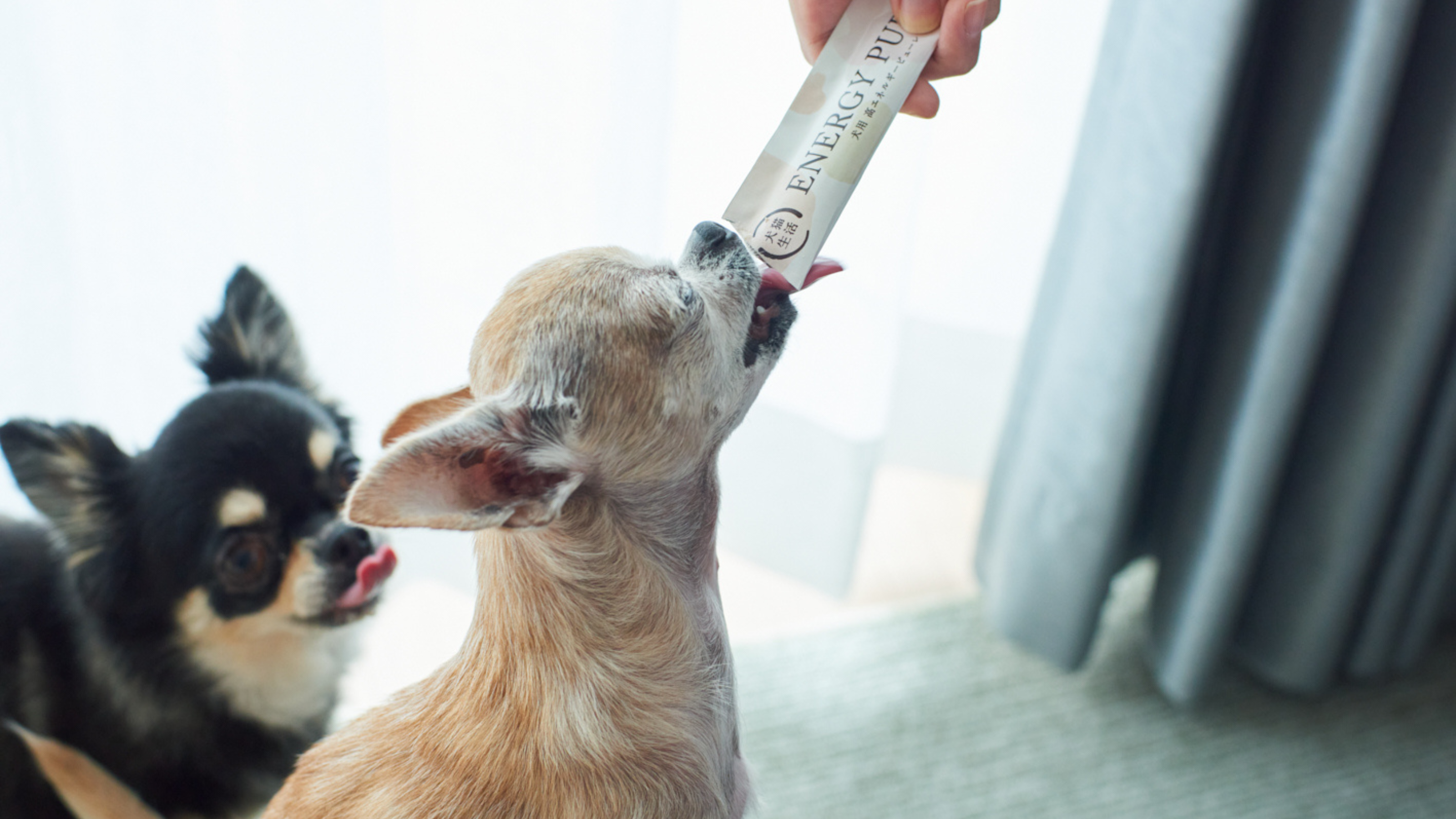 企業トップ画像