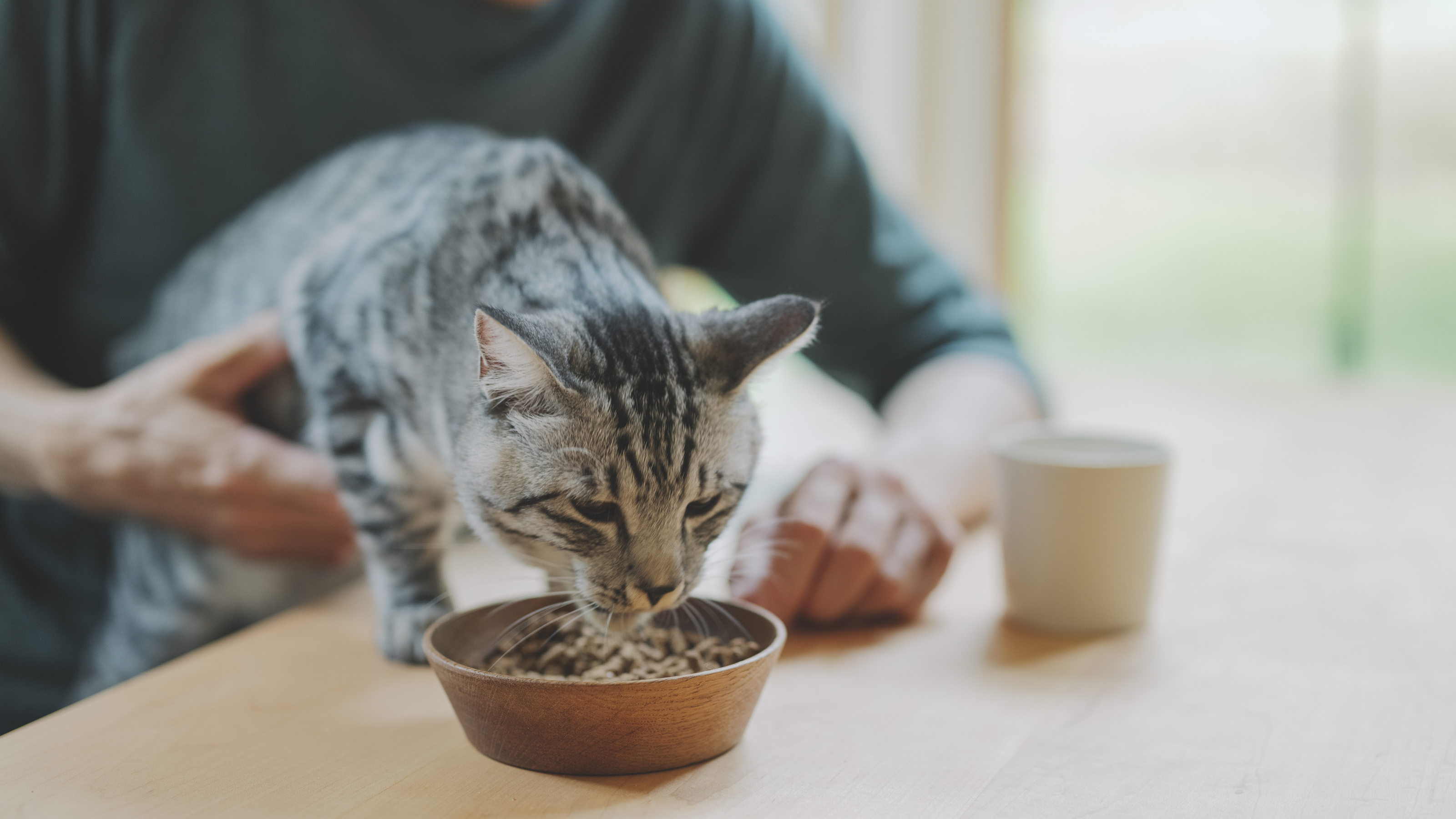 企業トップ画像