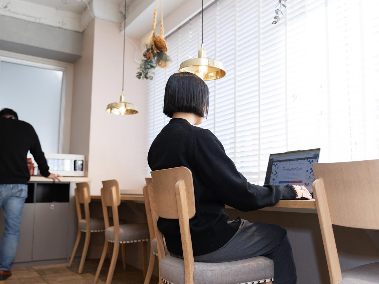 主力製品『Movable Type』とそのシリーズ製品は、大企業、官公庁、教育機関などの大規模サイトから個人ブログまで幅広いユーザー層に支持されている。