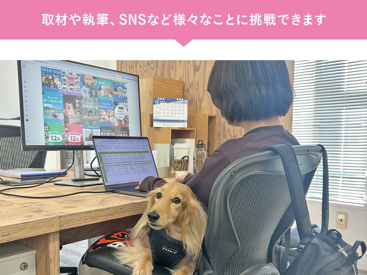 株式会社 エヴォワークスのイメージ画像2